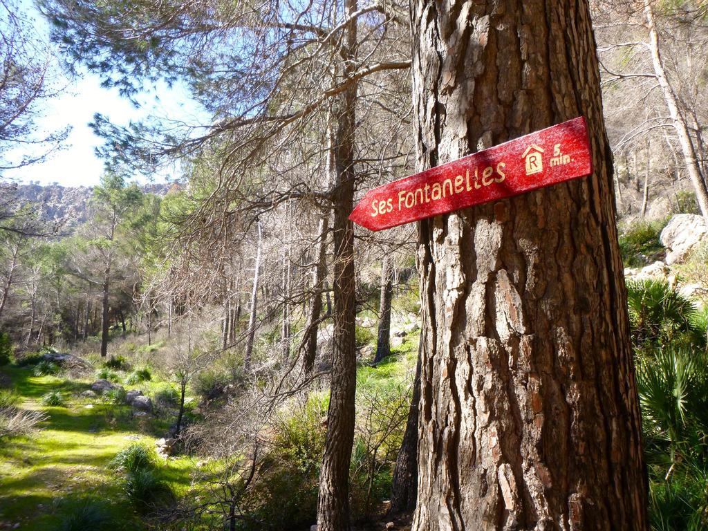Finca Ses Fontanelles Andratx Exterior photo