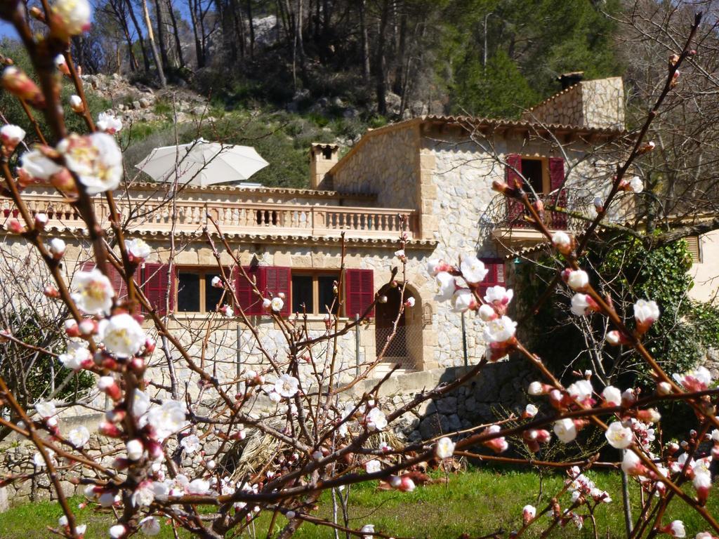 Finca Ses Fontanelles Andratx Exterior photo