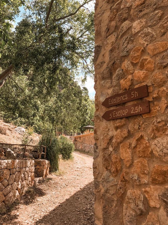 Finca Ses Fontanelles Andratx Exterior photo